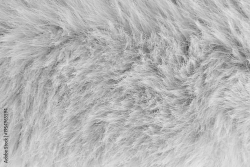 Obraz na płótnie gray fur background close up