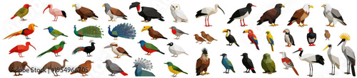 A group of bird characters. A group of cartoon design graphics unique banner. featuring bald eagle, peacock and toucan, ideal for educational posters and children's book illustrations