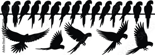A striking arrangement of black parrot silhouettes includes birds sitting on a bar and soaring