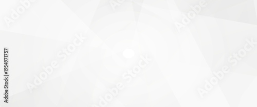 Abstract White and Light Gray Geometric Background with Elegant Overlapping Polyhedral Shapes, Minimalist Professional Corporate Backdrop for Technology Web Design and Presentation