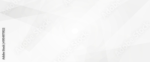 Abstract White and Light Gray Geometric Background with Elegant Overlapping Polyhedral Shapes, Minimalist Professional Corporate Backdrop for Technology Web Design and Presentation