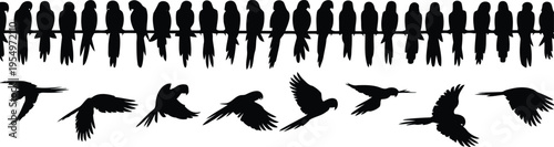 Black silhouettes of several parrots are gracefully flying and resting on a horizontal bar