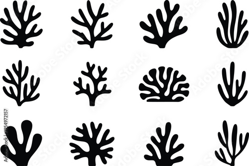 Black silhouettes of various sea corals and delicate underwater plants displayed on a pure white background