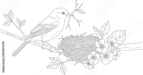Elegant black and white outline drawing of a little songbird perched on a tree branch, bringing a twig to an empty bird's nest surrounded by blooming flowers, ideal for a serene coloring book.