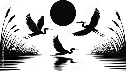 Majestic black heron silhouettes soaring and touching down on reflective water surrounded by tall marsh grasses