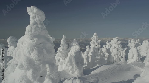 蔵王スキー場 地蔵山の樹氷