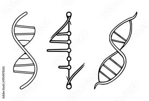 DNA double helix set with sleek modern lines on white background featuring vector, geometric, icon with biotechnology and illustration