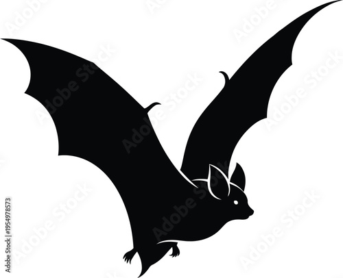 Bat in flight silhouette against white background, minimalist wildlife illustration