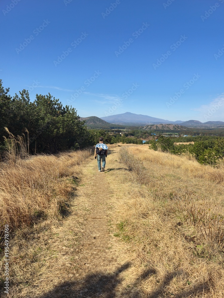 Fototapeta premium A Person Carrying a Dog Walking Toward a Distant Mountain on a Sunny Trail