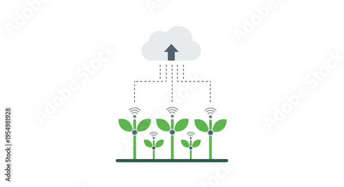 Sprouting plants growing under rain.