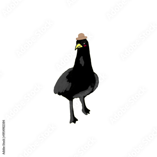 black crow on a white background