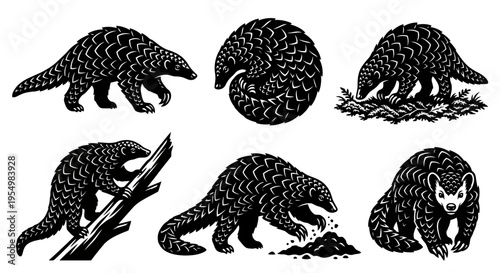 Otter Silhouette Vector Set, River Otter Poses Collection, Standing Sitting and Curled Up Otter Icons, Minimalist Black Wildlife Illustrations for Logo and Design, Aquatic Animal Graphics