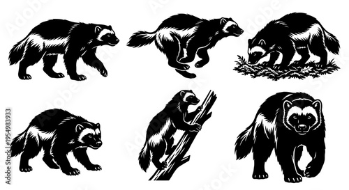 Wolverine Silhouette Vector Set, Gulo Gulo Poses Collection, Walking Running Climbing and Foraging Wolverine Icons, Minimalist Black Wildlife Illustrations for Logo and Design, Fierce Mammal Graphics