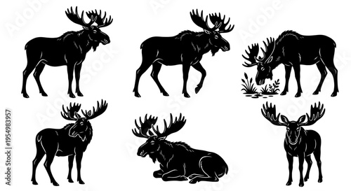 Moose Silhouette Vector Set, Bull Moose Poses Collection, Standing Walking Grazing and Lying Moose Icons, Minimalist Black Wildlife Illustrations, Forest Animal Graphics for Logo and Design