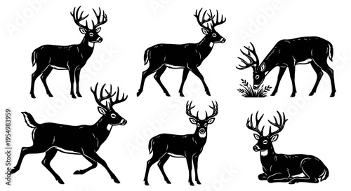 Deer Silhouette Vector Set, Buck and Stag Poses Collection, Standing Walking Grazing Running and Sitting Deer Icons, Minimalist Black Wildlife Illustrations, Forest Animal Graphics