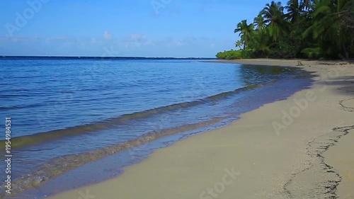 Palm trees on tropical beach with blue sky and turquoise sea.