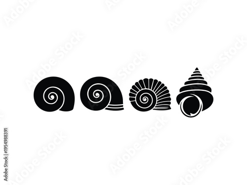 Illustration of various spiral sea shells silhouettes arranged in row on white background