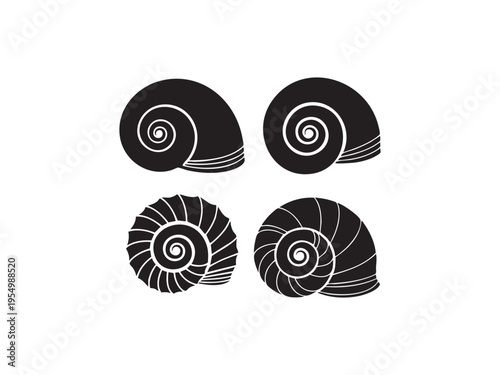 Seashell icons set for beach nature ocean life collection and summer marine shell silhouettes