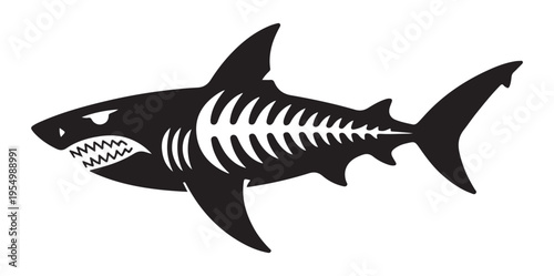 Shark skeleton anatomy vector illustration showing internal bones for educational marine biology and science