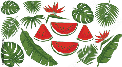 A colorful illustration featuring various tropical elements including watermelon slices, green leaves, and red flowers on a white background, evoking a sense of summer and exotic paradise.