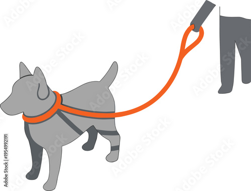 Dog harness with leash attached to owner hand, pet walking control concept, safety equipment for canine movement vector illustration