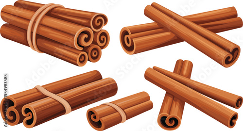 Cinnamon sticks bundles vector illustration set with tied and loose spice bark pieces aromatic ingredient for cooking baking seasoning