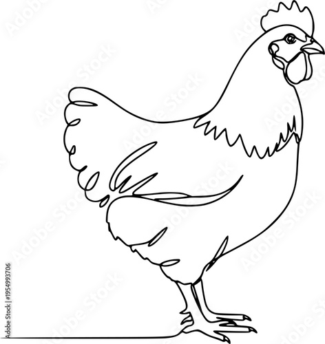 Hen in continuous line art drawing style. Chicken minimalist black linear design isolated on white background. Vector illustration
