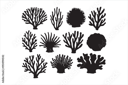 A collection of black coral silhouettes in various branching and rounded forms against a white background