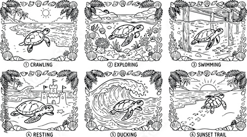 Colorbook style six frames featuring a sea turtle crawling exploring swimming resting ducking and leaving a sunset trail detailed ocean scenes
