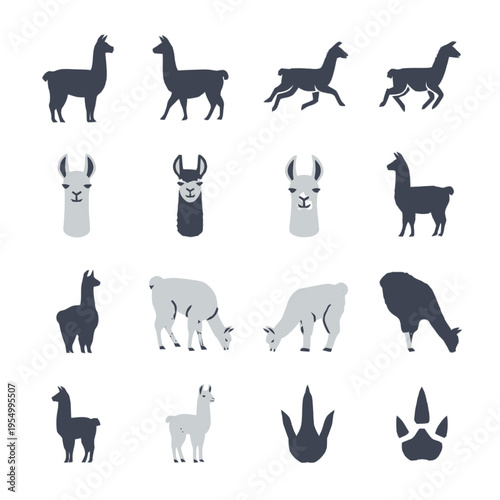 Collection of llama and alpaca vector icons featuring silhouettes, animal heads, and footprints. Includes various poses such as running, standing, and grazing in a minimalist flat design.