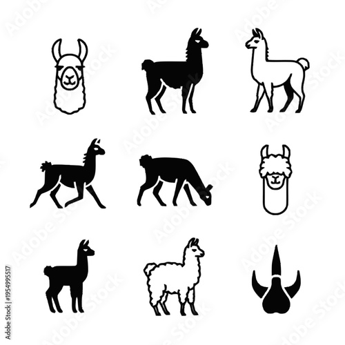 Collection of llama and alpaca icons including silhouettes and outlines of heads and full bodies in standing, walking, and grazing poses, isolated on a white background.