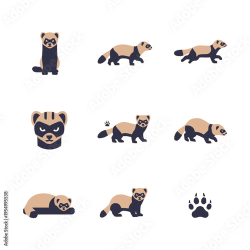 Vector illustration set of ferret or polecat character icons in various poses including sitting, walking, running, and lying down, plus a head portrait and paw print on white background.