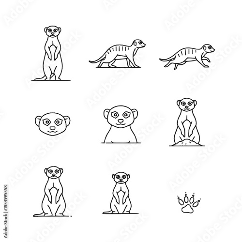 Collection of meerkat line art icons featuring various poses including standing, running, walking, and head portraits, minimalist black outlines on a white background for design.