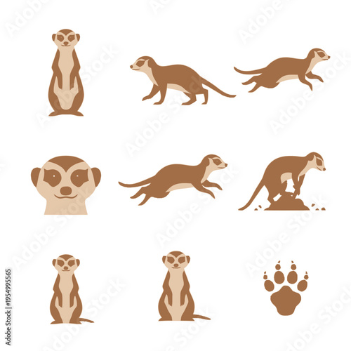 Set of flat vector meerkat illustrations showing various poses including standing on hind legs, running, walking, and digging, plus a close-up animal head portrait and a paw print icon.