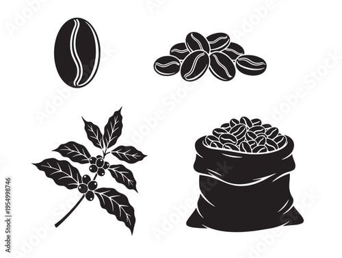 Coffee beans and leaves illustration