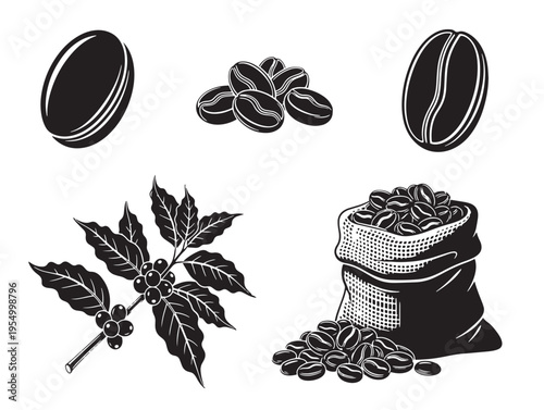A collection of coffee beans and leaves