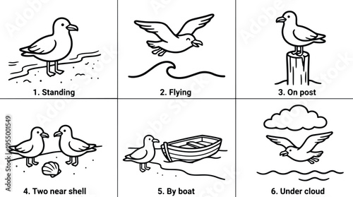 Seagulls standing flying and perched near boat and seashell