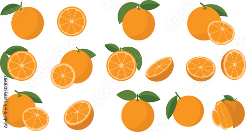 orange, fruit, citrus, slices, fresh, healthy, food, pattern, minimal, flat, illustration, vector, clipart, design, background, tropical, juicy, set, modern