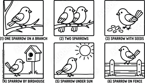 Line art sparrows in various natural settings including branch birdhouse and fence