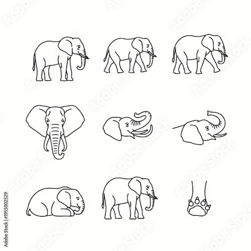 Minimalist black and white line art illustration set of African elephants featuring various poses including walking, standing, lying down, frontal head view, and a detailed footprint.