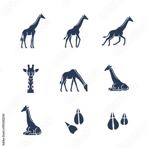 Set of dark blue giraffe silhouettes on a white background including standing, walking, running, grazing, and sitting poses, along with a neck pattern and animal hoof print icons.