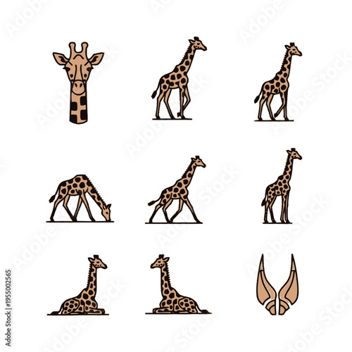 Set of minimalist giraffe icons and illustrations in various poses including walking, sitting, drinking, and frontal head view. Line art with orange fills and black spots on white.