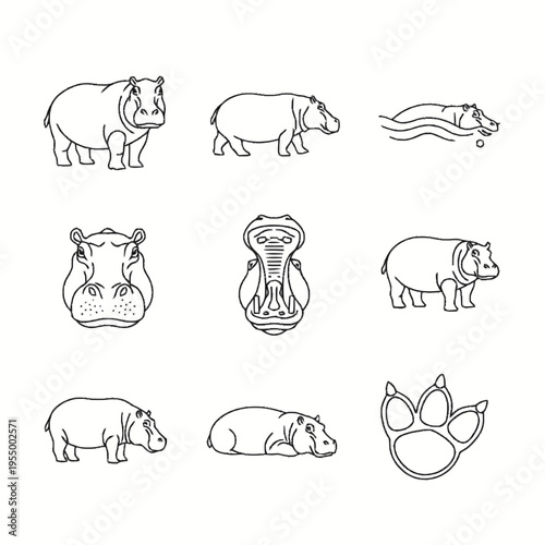 Vector collection of hippopotamus line art icons featuring full body side views, front facing portraits, hippo with open mouth, swimming in water, and animal track footprint.