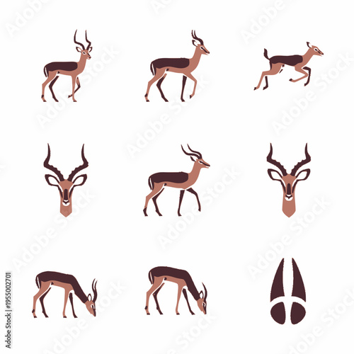 Vector illustration set of impala gazelle antelope in various poses like walking, running, and grazing, including head portraits and hoof print isolated on white background.