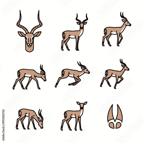 Set of stylized impala and gazelle vector icons depicting the African antelope in various poses: running, jumping, grazing, and walking, including a head portrait and hoof print.