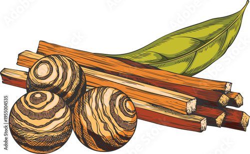 Sandalwood tree organic products vector sketch composition, hand drawn leaf, fragrant wooden balls and sticks pile