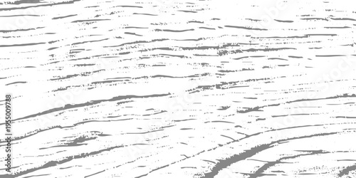 Black and white wood grain texture, detailed knots and flowing lines, rustic natural pattern, high contrast, minimalist organic background, fine line vector illustration style.