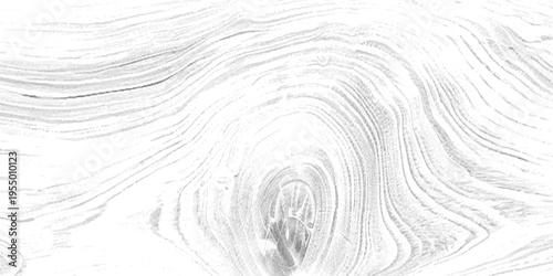 Light wood grain texture with natural swirling patterns and knot detail, soft neutral tones, minimalist background, high detail, clean and organic aesthetic vector illustration.