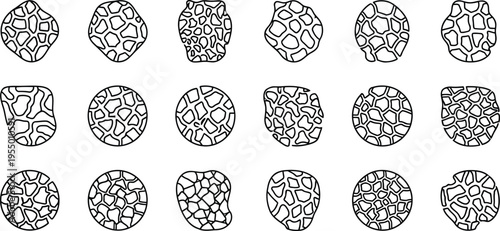 Organic cell structures: abstract microscopic patterns
