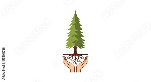 Hands holding a green pine tree.